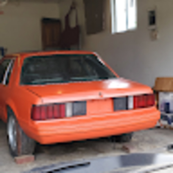 Meet your Posher, Jeremy - Picture 1 of 1